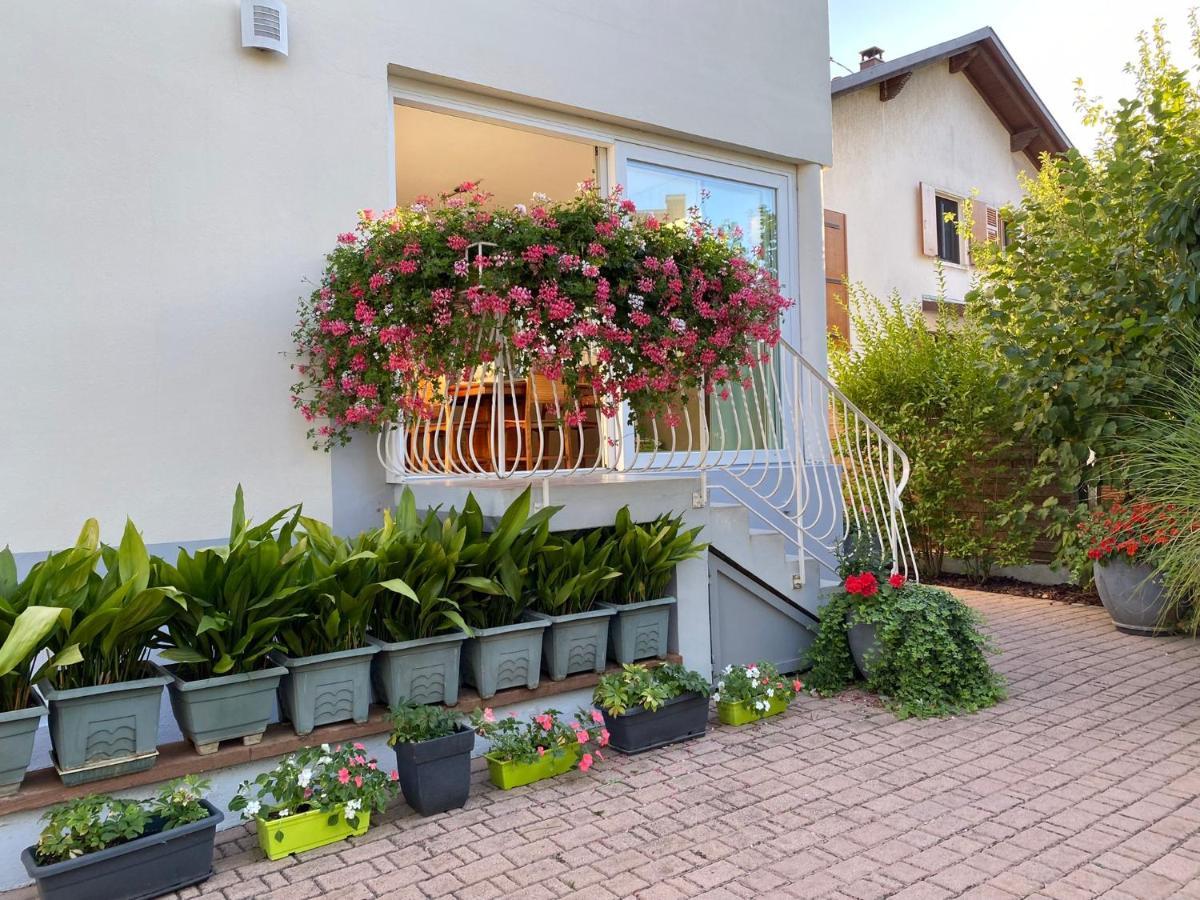 Appartement Le Jardin Lingolsheim Zewnętrze zdjęcie