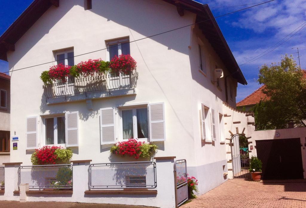 Appartement Le Jardin Lingolsheim Pokój zdjęcie