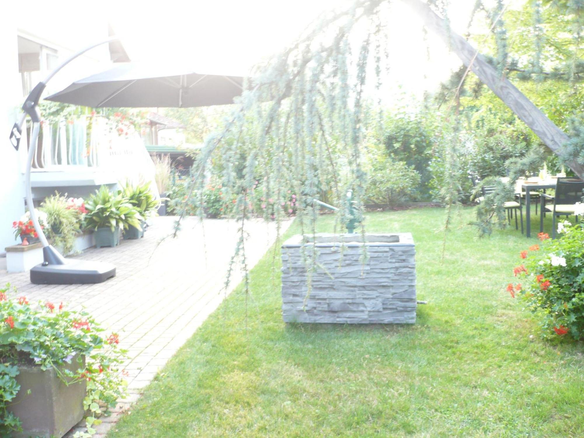 Appartement Le Jardin Lingolsheim Zewnętrze zdjęcie