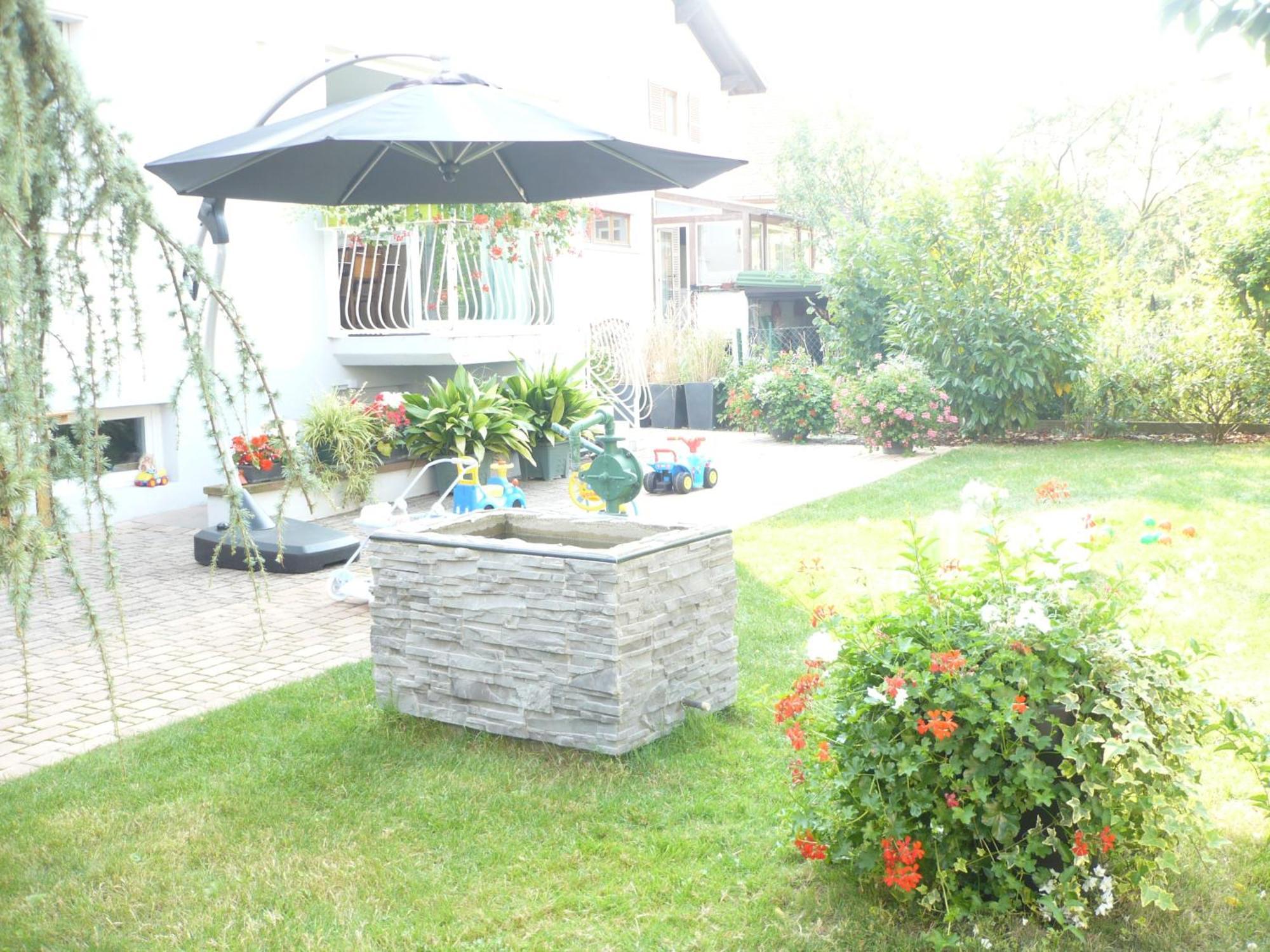 Appartement Le Jardin Lingolsheim Zewnętrze zdjęcie