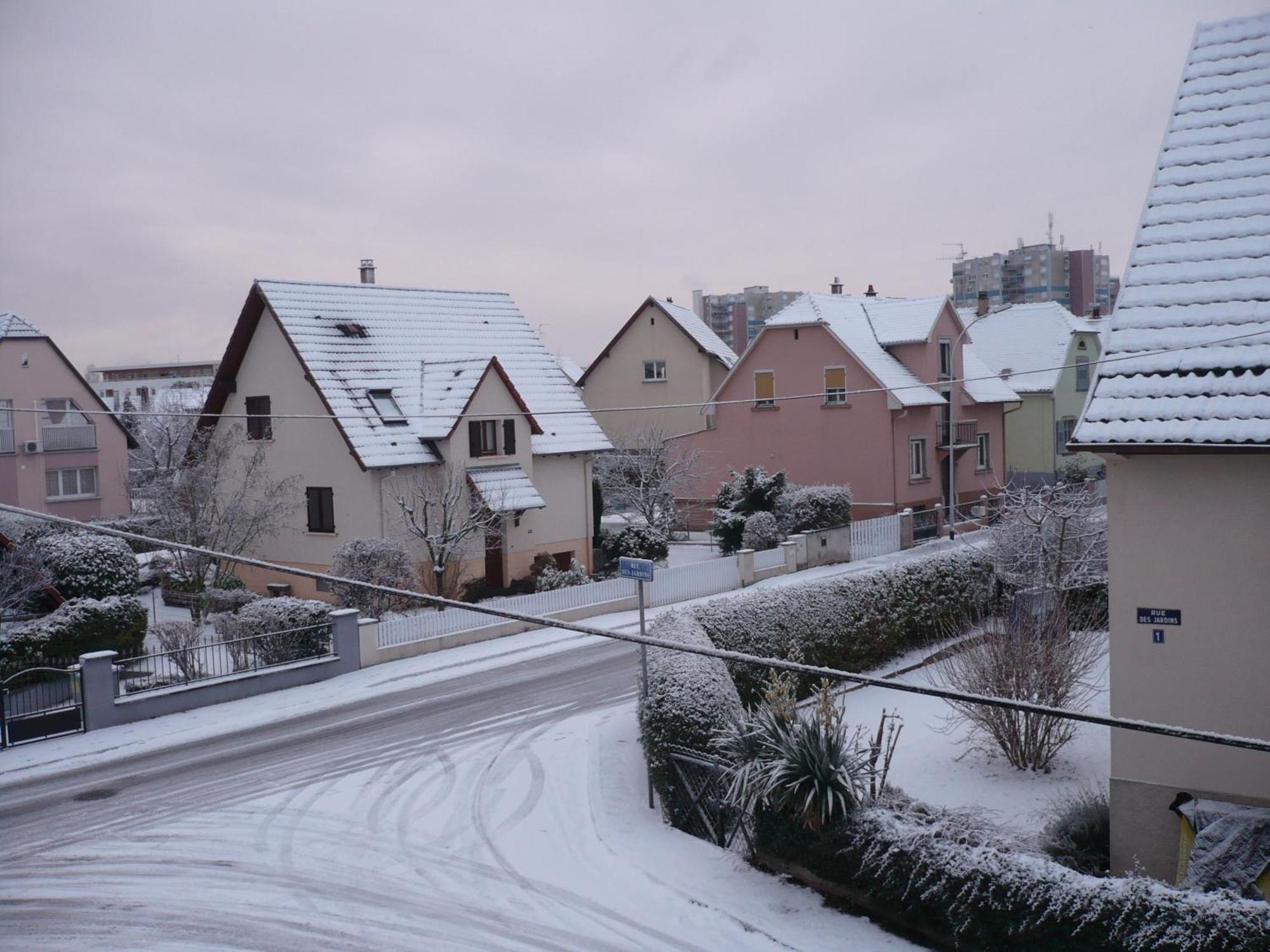 Appartement Le Jardin Lingolsheim Zewnętrze zdjęcie