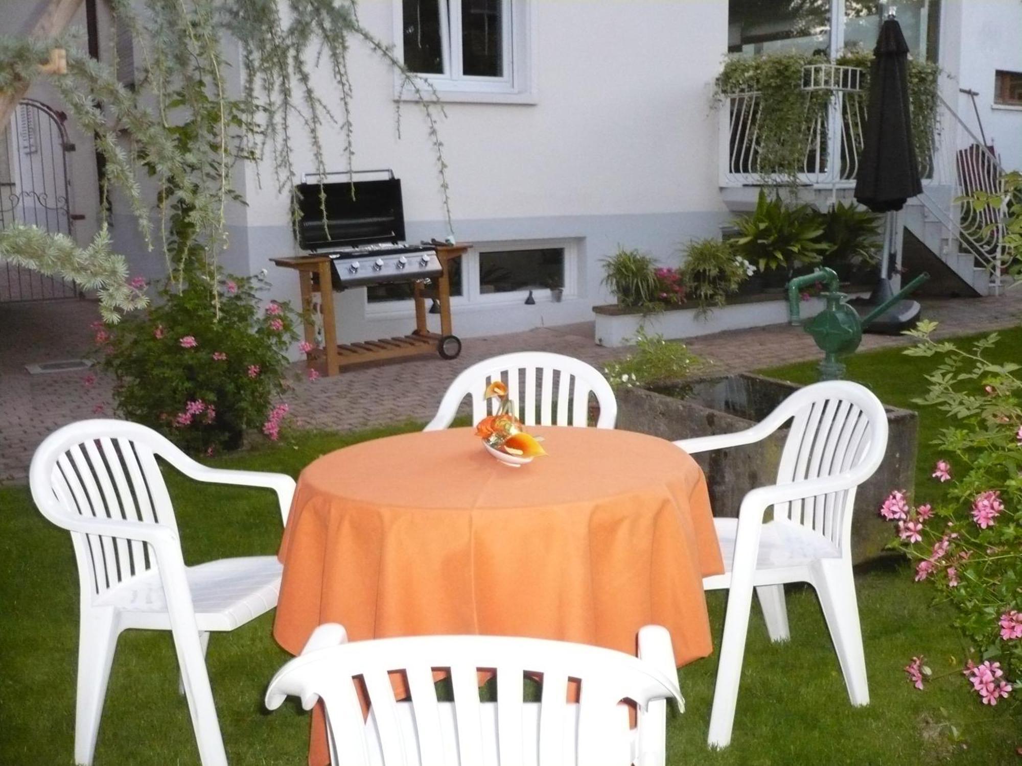 Appartement Le Jardin Lingolsheim Zewnętrze zdjęcie