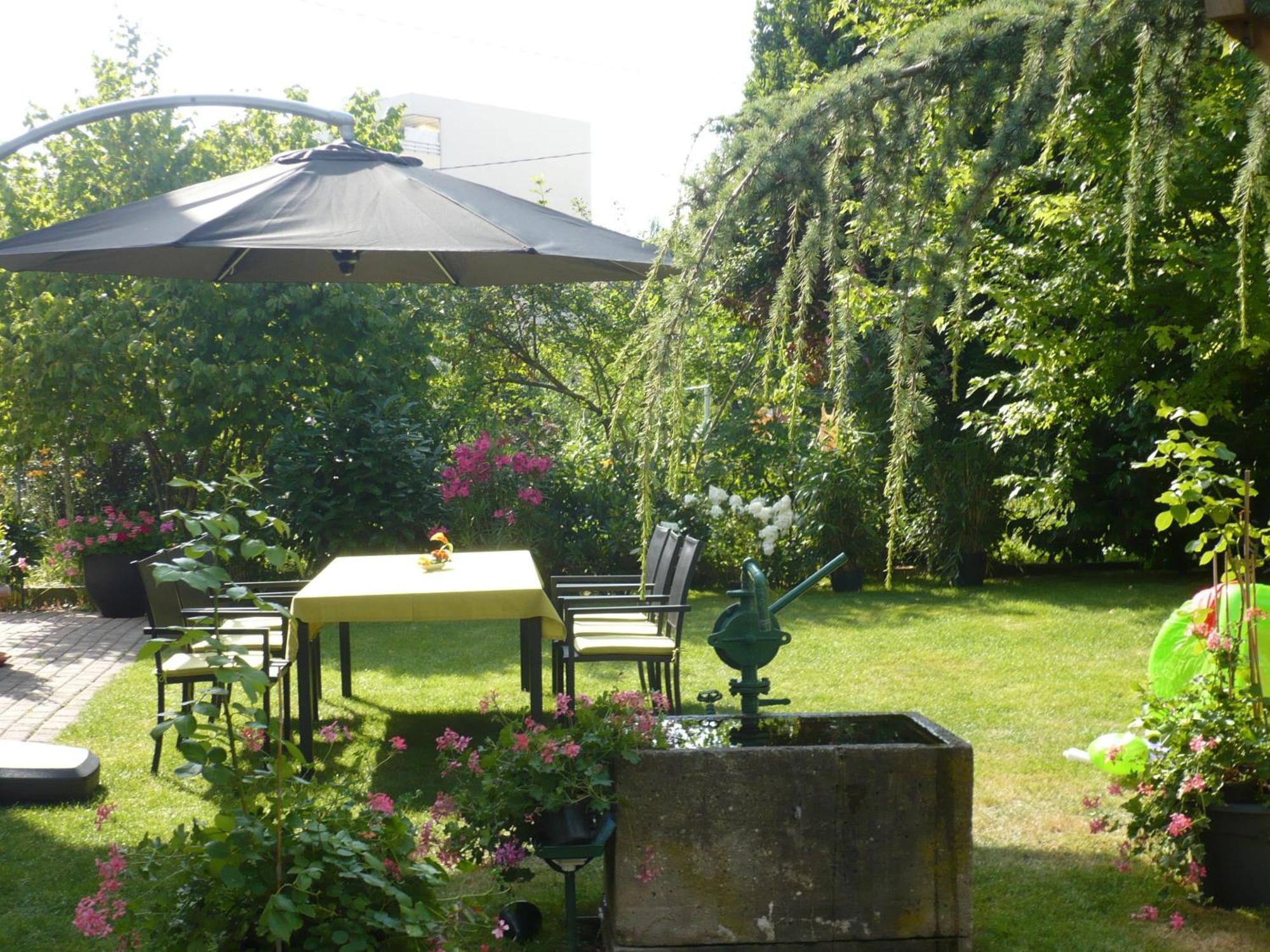 Appartement Le Jardin Lingolsheim Zewnętrze zdjęcie